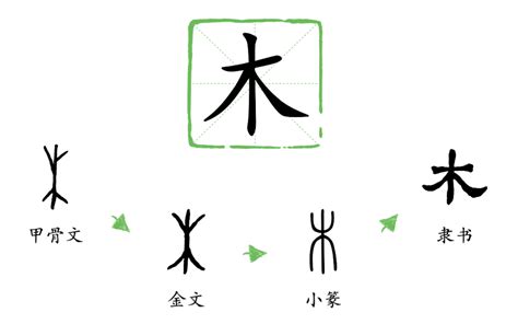 木筆畫|木字的意思